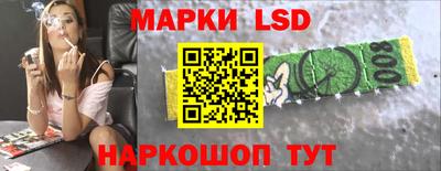 индика Кандалакша