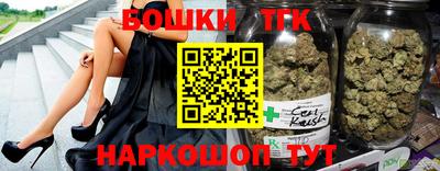 индика Кандалакша